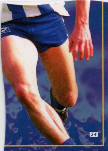 1995 Bewick Enterprises AFLPA Football Quarters #54 Dean Laidley Front